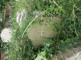 image of grave number 528653